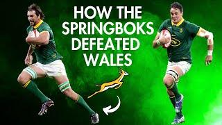 Springboks Defeat Wales: The Ultimate Breakdown & Analysis