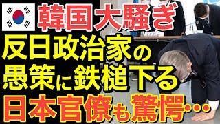 【海外の反応】反〇政治家の愚策に隣国全土が大騒ぎ！【にほんのチカラ】