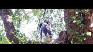 Verum Somnium Directed By Michael Denis Directors Cut