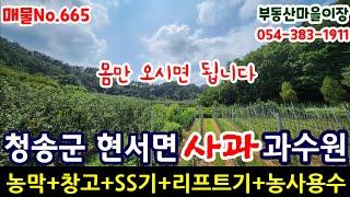 매물No.665 경북땅 청송군 현서면 사과 과수원 #청송땅 #청송토지 매매