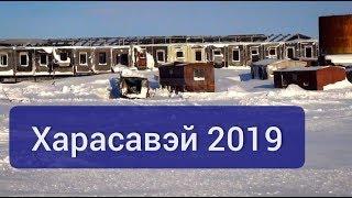 Харасавэй 2019