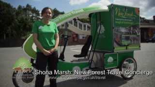 New Forest Travel Concierge - helping you to discover the National Park