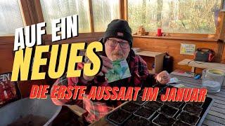 Die erste Aussaat im Januar / Kalte Anzucht / Endlich geht es wieder los!