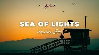 sonyoung Kim - Sea of lights [ambient classical cinematic]