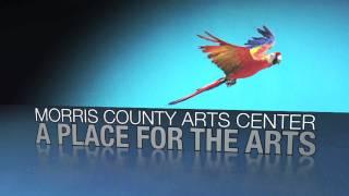 Morris County Arts Center (End Motion Graphic Design)