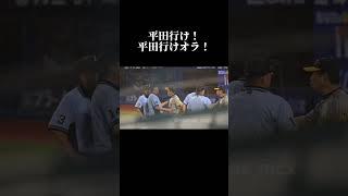 平田コーチをけしかける阪神ファンww