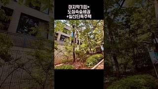 EP01. 마지막 기회 도심 속 숲세권 단독주택 탑클라우드포레 010-6839-1414
