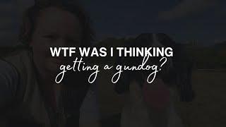 WTF was I thinking getting a gundog! - The LWDG