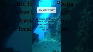 Cave with its own Eco-system #facts #short