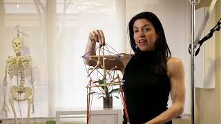 Chronic pain isn't random! Tensegrity & Fascia explained in 30 seconds.