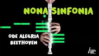 NONA SINFONIA, ODE ALEGRIA