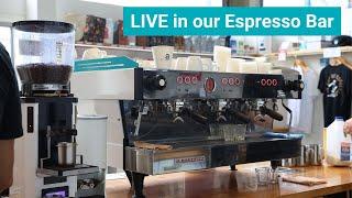 Live at Artisti Coffee Roasters + Making Coffee on a Rocket Espresso Home Machine️