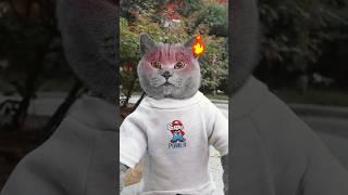 Oh No! Let's Remake A Tasty And Beautiful Popsicle #funnycat #catmemes #trending