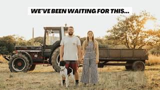 Building a life off-grid. A big week renovating our abandoned land + GIVEAWAY