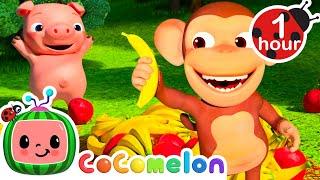 Apples and Bananas | 1 Hour CoComelon Animal Time - Healthy Fruit Nursery Rhymes for Kids