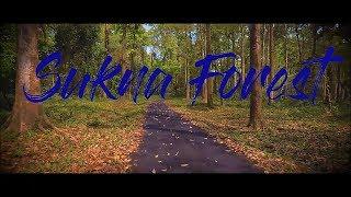 SUKNA FOREST SILIGURI| A DAY TRIP TO BEAUTIFUL FOREST