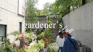 Korean nursery tour 'Zien Shop' with terracotta pots and David Austin roses