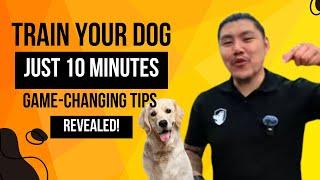 The Secret to a Well-Behaved Dog One Proven Trick | Dan Cheung Dog Training