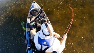 Exploring Florida Backwaters and Flats - Fish Around Every Corner!