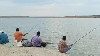 Different type fishes Catching With Small Single Hook|Best Small Single Hook fishing technique