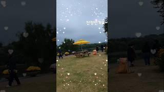 #진정인가요 #임영웅 #건행 #영웅시대