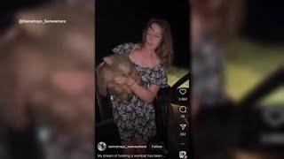 Montana woman grabs baby wombat