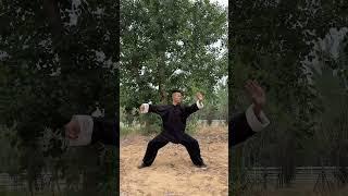 刚猛有力，身如游龙 百人百拳，太极本身就海纳百川！#太极 #实用拳法 #传统武术 #百young非遗计划
