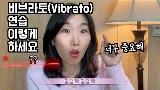 드디어 비브라토(Vibrato)할때 주의할 점, 연습방법 알려드립니다/플루트 배우기/힐링플룻 HealingFlute