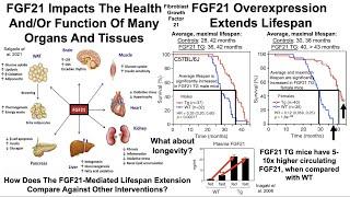 High FGF21, Low Insulin And Glucose: A Pro-Longevity Strategy?