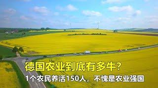 德国农业到底有多牛？1个农民养活150人，真不愧是农业强国