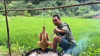 Làm Món Gà Xối Mỡ Ngoài Ruộng | Hoa Ban Tây Bắc Farm