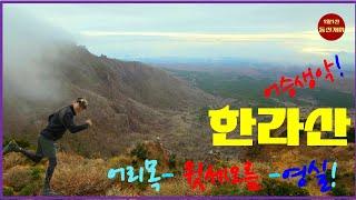 The best course to enjoy without reservation [Hallasan Mountain] #Eoseungsaengak #Eorimok#Yeongsil