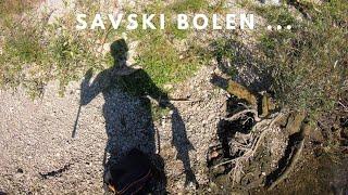 Savski Bolen