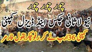 Kya Lasani CEO Bhag Gya ? Chicks And Chicken Company |  Lasani Oil Traders | Investment or Fraud