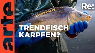 Karpfen statt Lachs | ARTE Re: