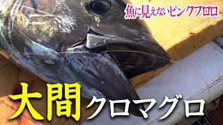 一本釣りに延縄(はえなわ)！大間のクロマグロ漁に密着!!｜魚に見えないピンクフロロ(1459)