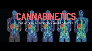 CANNABINETICS™: The Re-Creation of Life - Star-Tetrahedron in Fibonacci Spiral with the Tree of Life