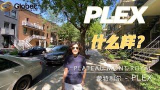 蒙特利尔房产 - 入户系列 - PLEX