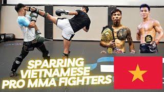 Sparring Vietnamese Pro MMA Fighters (breakdown)