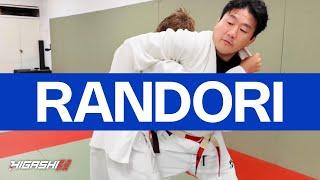 Randori with Rules | Kokushi Budo Institute | #judo #randori #nyc