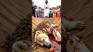 Believe in God - He heals the pain and raises the fallen ️