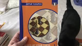 Yusupov Chess Series - Introduction