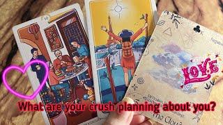 What are your crush planning about you?️ Crush Current energy | Hindi tarot card reading