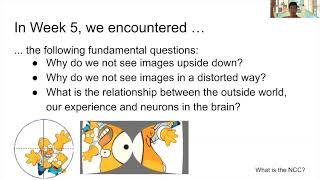 Week 6 The neural basis of consciousness: The Neural Correlates of Consciousness