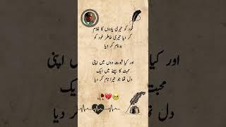 Mirza Ghalib Poetry #poetry #poems #sadpoetry #poetrylovers #