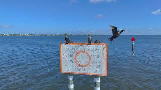 Kingfish Boat Ramp Anna Maria Island Florida 28.8.2024