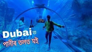 পানীৰ তলত - Underwater Aquarium and Dubai Fountain