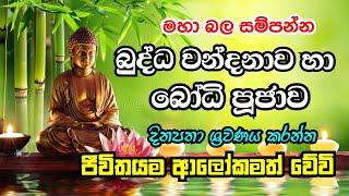 බුද්ධ වන්දනාව සහා බෝධි පූජාව | Buddha wandanawa saha bodhi poojawa #bodhi #buddha