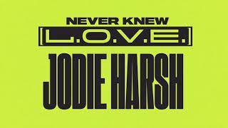 Jodie Harsh - Never Knew (L.O.V.E)