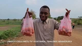 A Mbujimayi, nous consommons des produits bio à des prix abordables. mes tomates et obergines de 1$